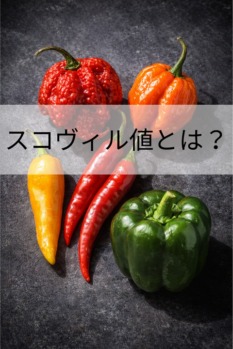 スコヴィル値とは？唐辛子の辛さを示す世界基準【一覧・比較】